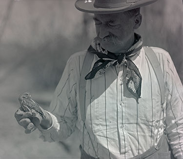 Herbert Brown holding an elf owl, Reuniting Finley and Bohlman