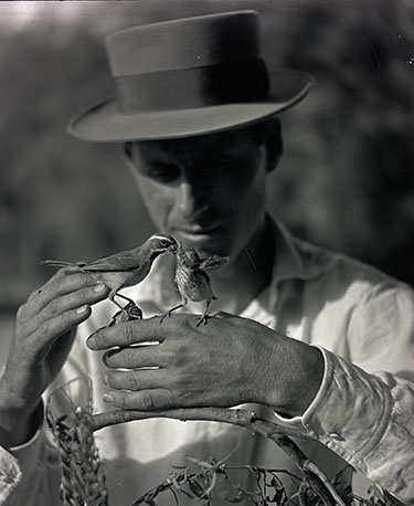 William L. Finley holding desert sparrows, Reuniting Finley and Bohlman
