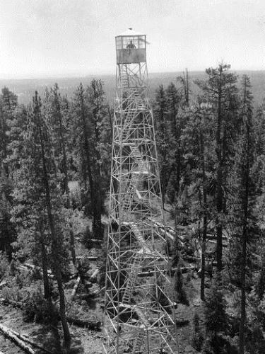 CCC enrollee Thales Bay of Orin, Illinois, at work on a fire tower, Gerald W. Williams Collection