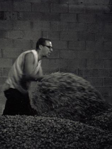 Moving dried hops, ca. 1975, Oregon Hops & Brewing Archives