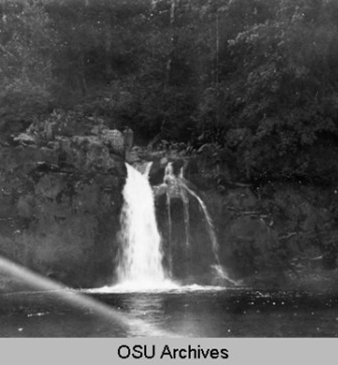 Falls on Little North Fork, Pacific Northwest Stream Survey