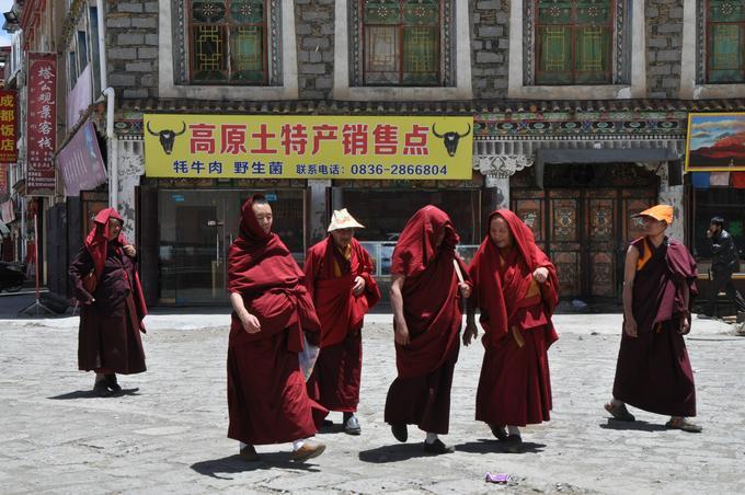 2015May_Lhagang_Monastery_023