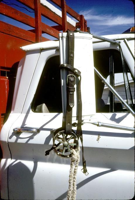 Snaffle bit and headstall hanging on pickup mirror