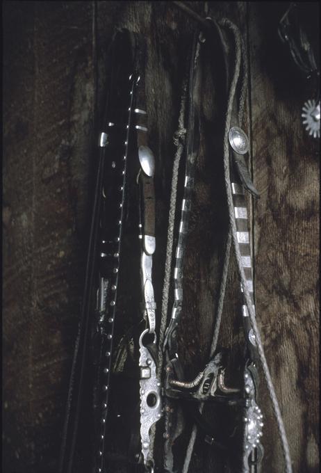 Headstall, general view on wall