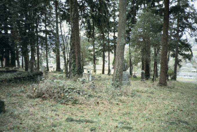 Eugene Masonic Cemetery (Eugene, Oregon)