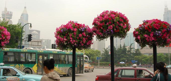 2008May200805ShanghaiDumplings__024