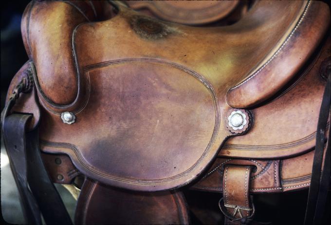 Saddle