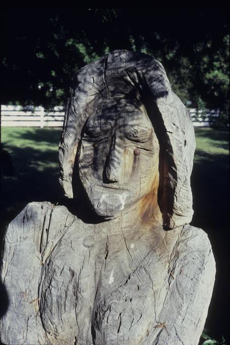 Close up of face of pioneer woman