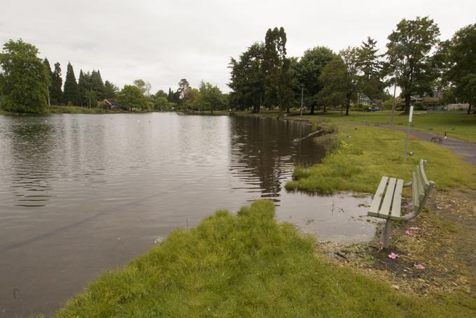 Westmoreland Park Duck Pond (Portland, Oregon)