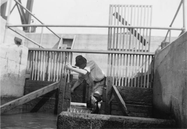 Lewiston Dam weir