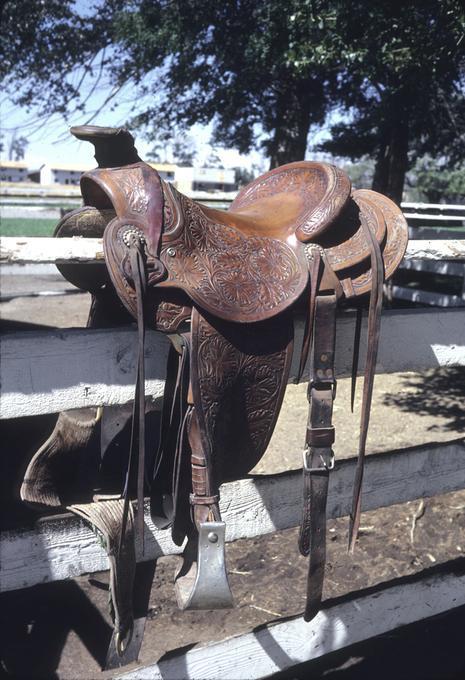 Mrs. Wood's saddle by C. Baker, front left