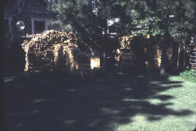 Mr. George Winkler's wood pile, source of wood for dolls