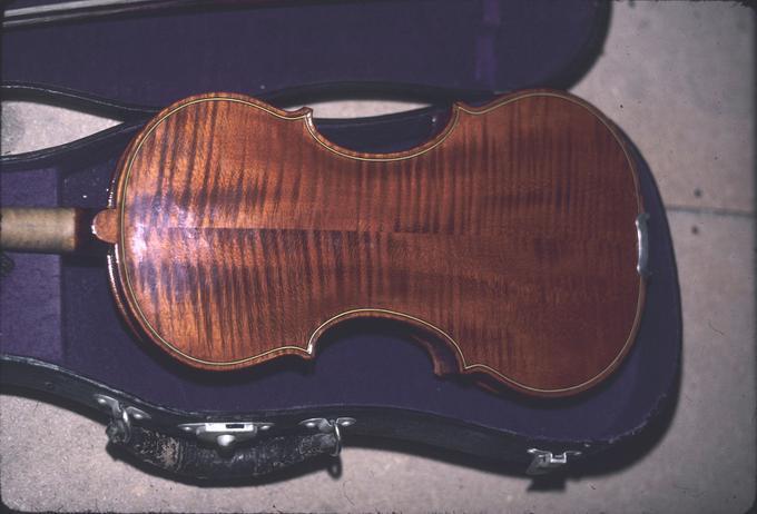 Back of violin