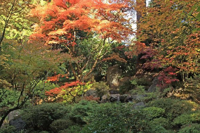 Portland Japanese Garden (Portland, Oregon)