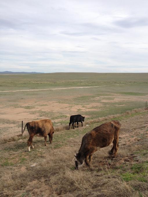 2013July_20130707DBInnerMongolia_009