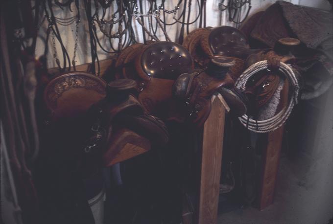 Saddles in tack room, available light