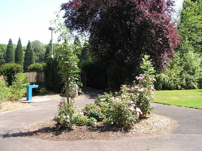 Westmoreland Park Duck Pond (Portland, Oregon)