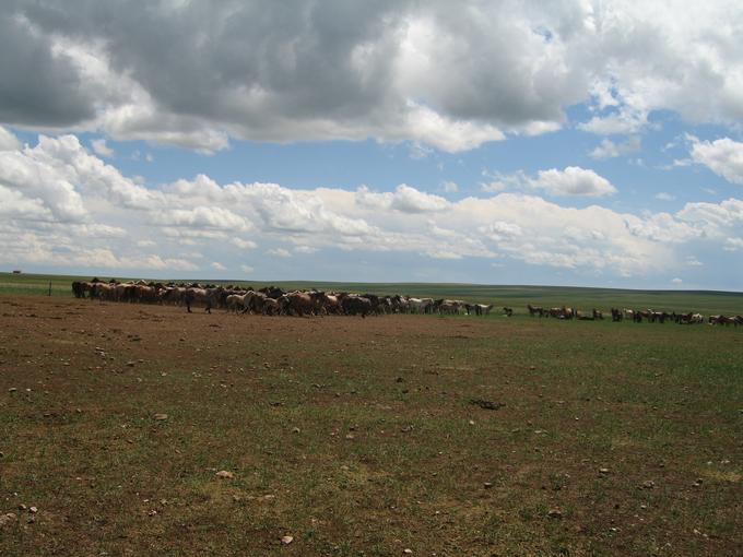 2013July_20130708KCInnerMongolia_035