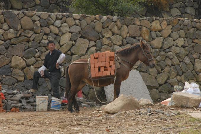 2012October_201210WorkerAndHisBrickMuleMoganshan_001