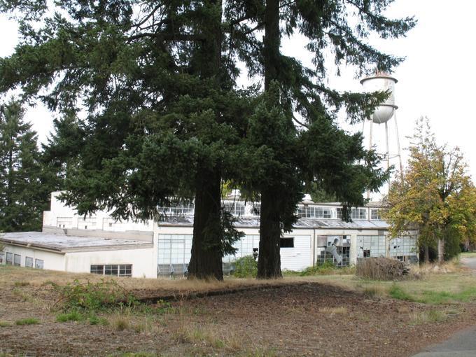 Laundry, Fairview Training Center (Salem, Oregon)