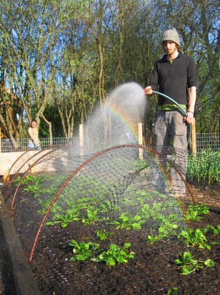 University of Oregon urban farm