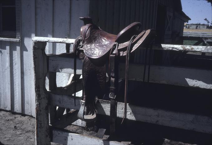 Mrs. Wood's saddle by C. Baker, back left