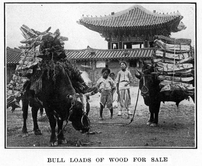 Bull Loads of Wood for Sale