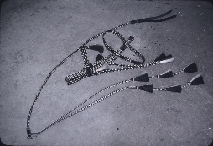 Reins and headstall by Bodmer, owned by S.