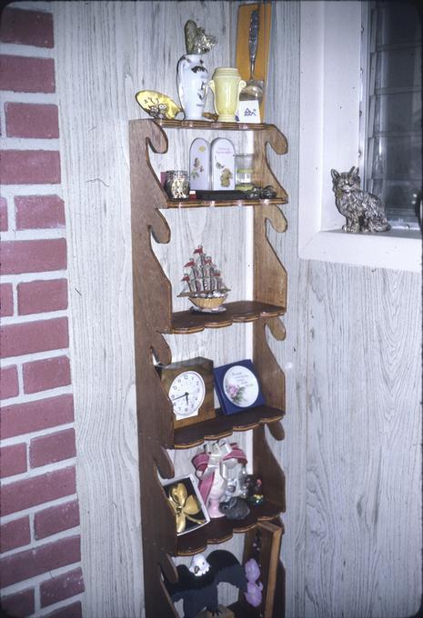 Shelves in another corner of wing