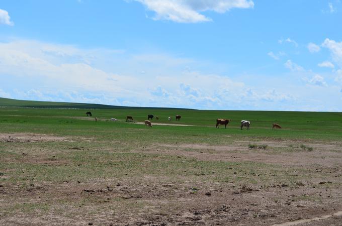 2013July_20130708DKInnerMongolia_078