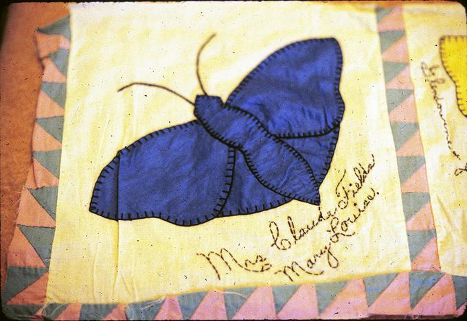 33 x 14 inch strip of appliqued butterflies, beginning of a friendship quilt top