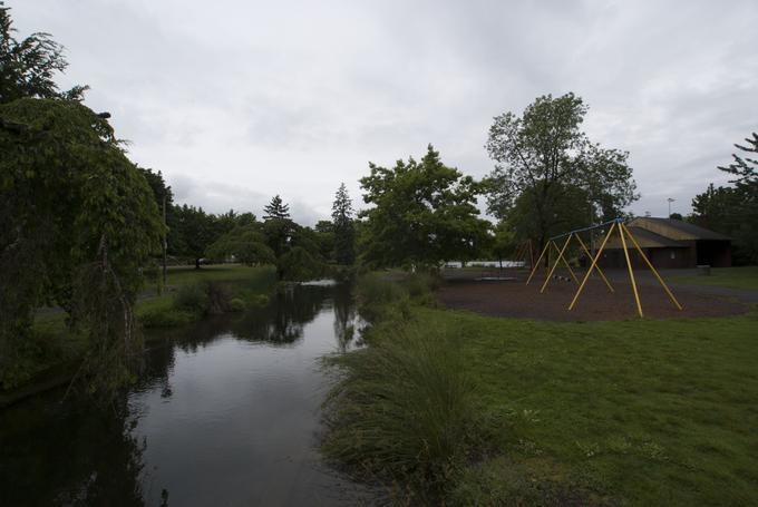 Westmoreland Park Duck Pond (Portland, Oregon)