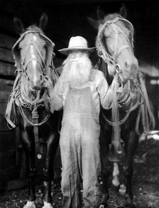 Man with beard, with team of horses