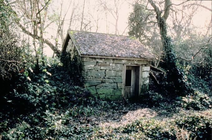 Hanley, Michael, Farm. Spring House (Central Point, Oregon)