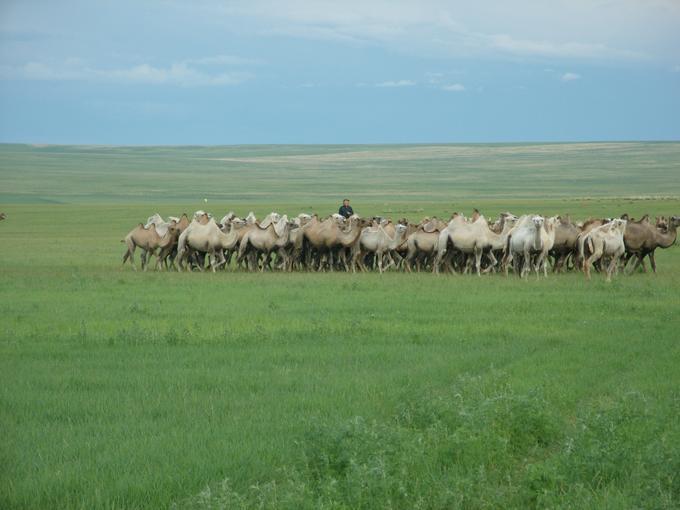 2013July_20130708MGInnerMongolia_077