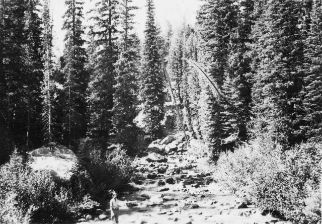 Big Redfish Lake Stream, Idaho