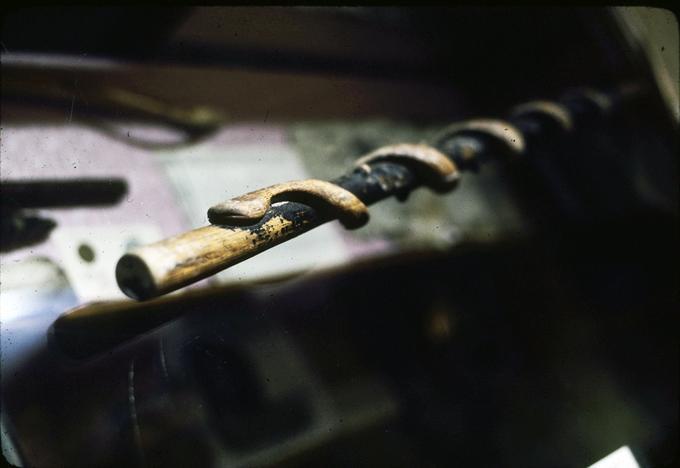 Cane, detail showing head of snake