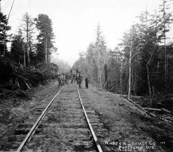 Track construction