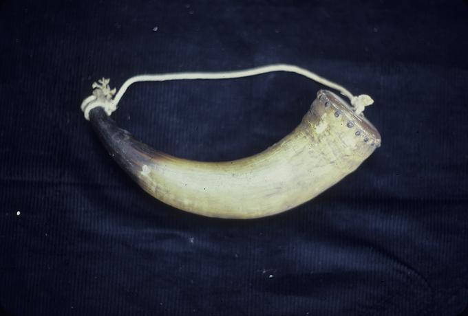 10 1/2"" x 2 1/2"" powder horn