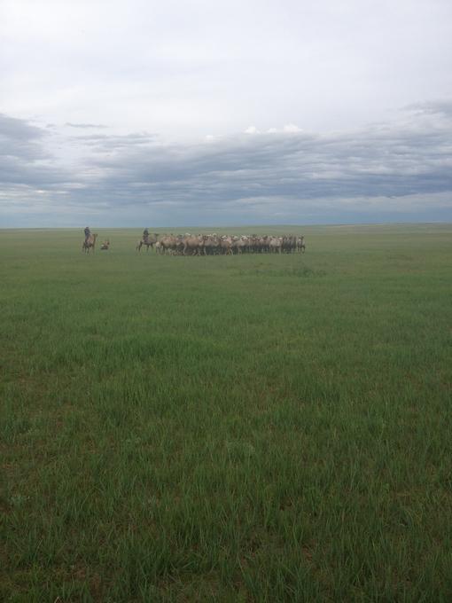 2013July_20130708DBInnerMongolia_031