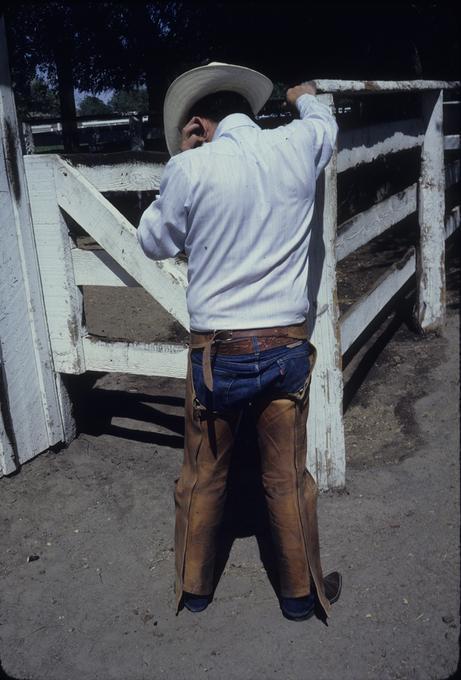 Wood models Shotgun Chaps, back