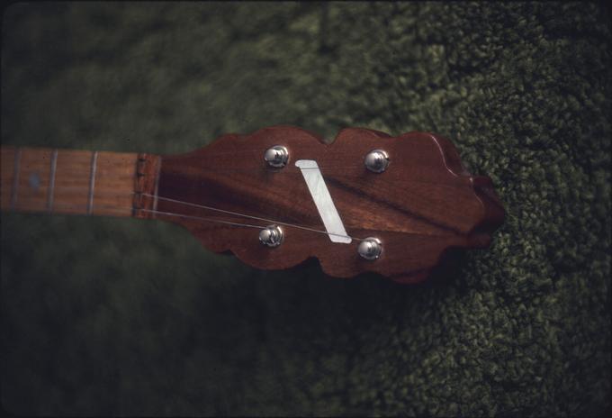 Replacement banjo neck, detail of peghead