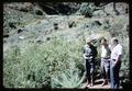Dr. Roy A. Young, Dr. David Chilcote, Dr. George McNew looking at Marys Peak ecology, 1963