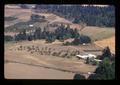 Aerial view of headquarters area of Lewis Brown Horticulture Farm, Corvallis, Oregon, circa 1972