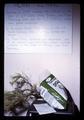 Diseased pine in Turn Green with Envee bag at Plant Clinic, Oregon State University, Corvallis, Oregon, circa 1971