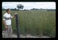 Don Hector and orchard grass field, near Granger, Oregon, June 1972
