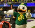 Duck mascot, 2015