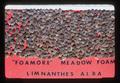Foamore meadowfoam seeds, October 1975