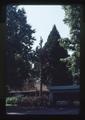 Gene Lear topping Lemon's cedar tree, Corvallis, Oregon, 1987