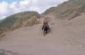 Horseback rider (Sheron Beck) in dunes